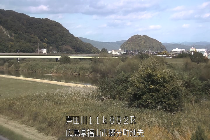 11月11日14時00分