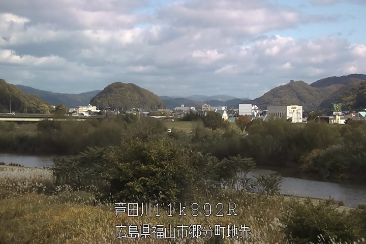 11月19日11時00分