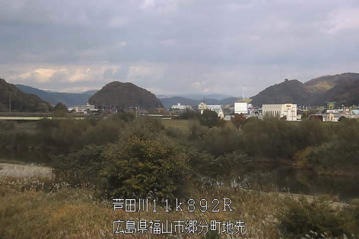 11月19日15時00分