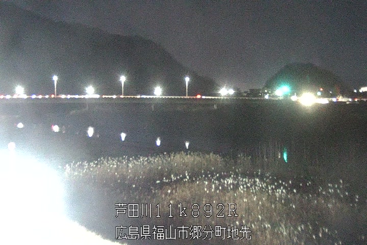 01月08日19時00分