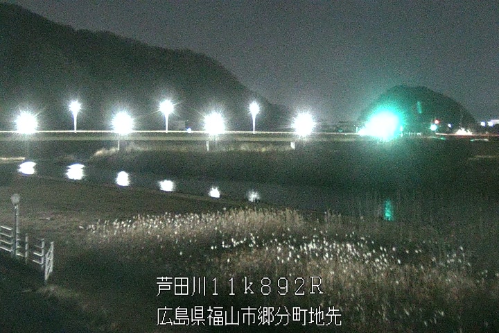 01月11日02時00分