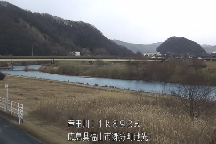 01月11日15時00分