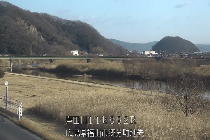 01月29日09時00分