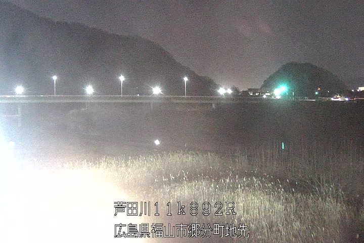 02月19日20時00分