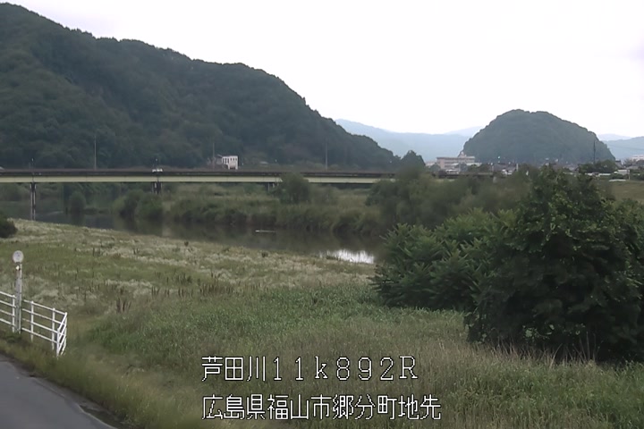 06月05日11時00分
