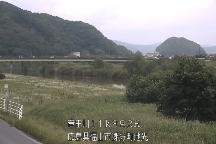 06月06日11時00分