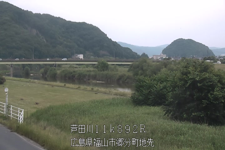 06月19日09時00分