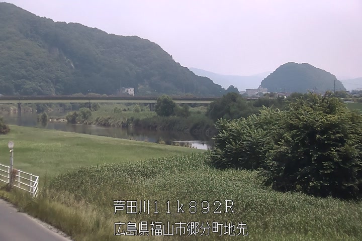 07月19日11時00分