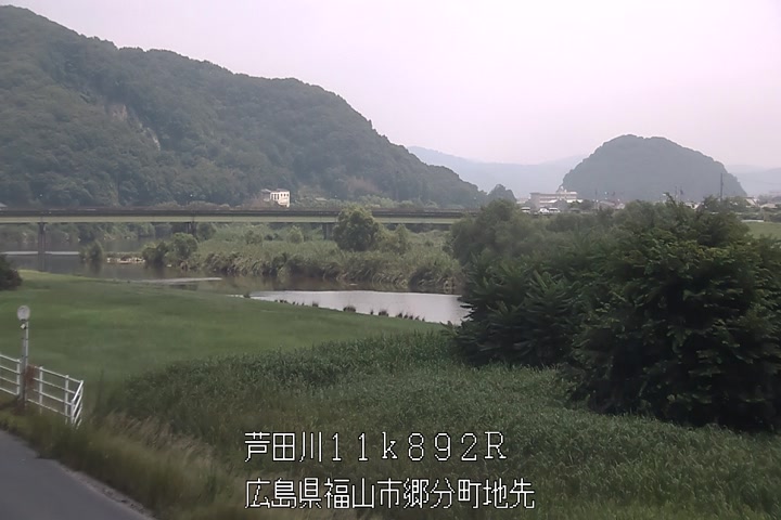 07月20日11時00分