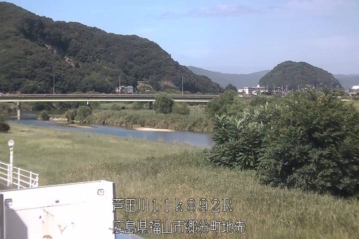 08月11日15時00分