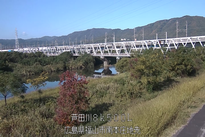 11月15日10時00分