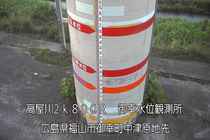 06月11日05時00分