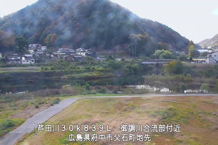 11月19日12時00分