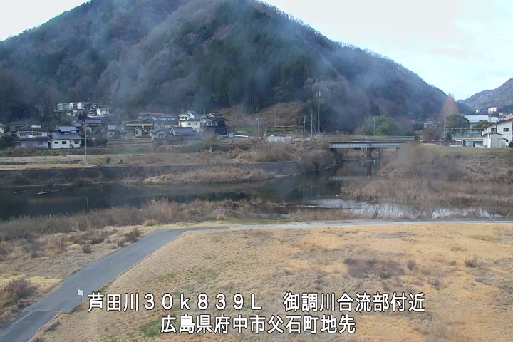 01月31日09時00分