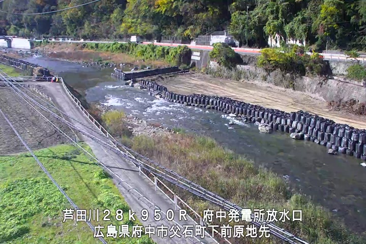 11月19日12時00分