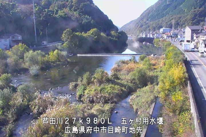 11月15日10時00分