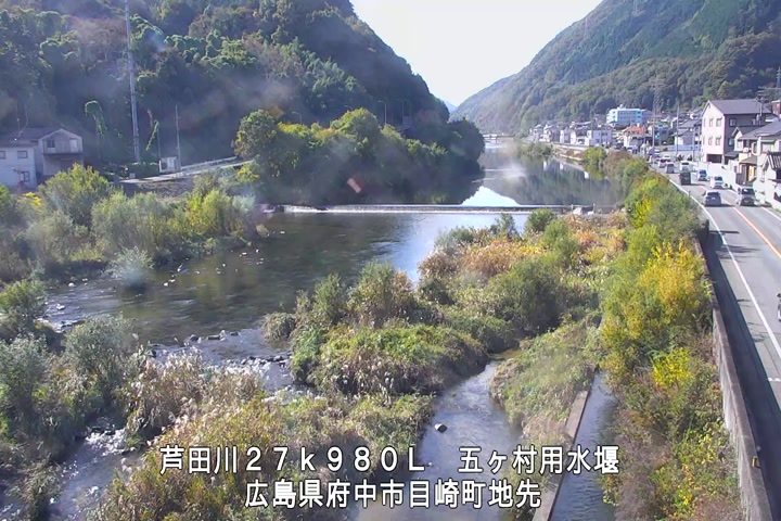 11月15日11時00分