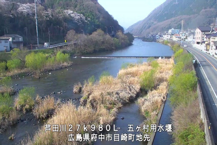 03月29日08時00分