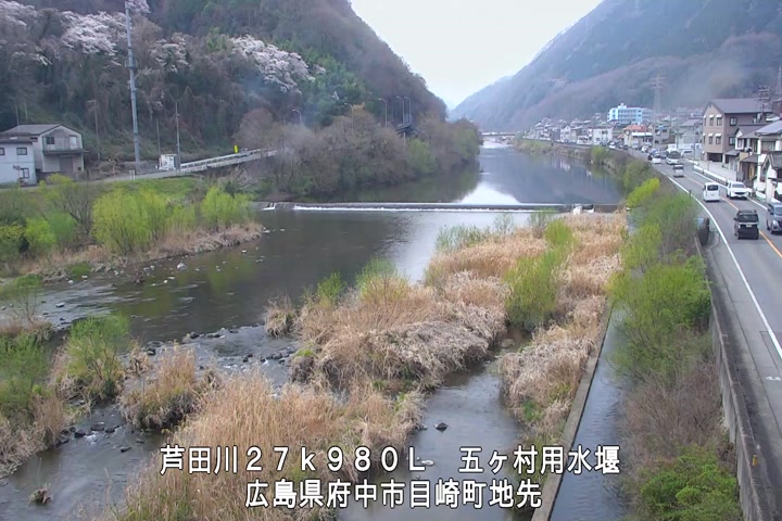 03月29日11時00分