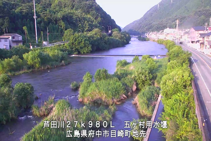 06月11日06時00分