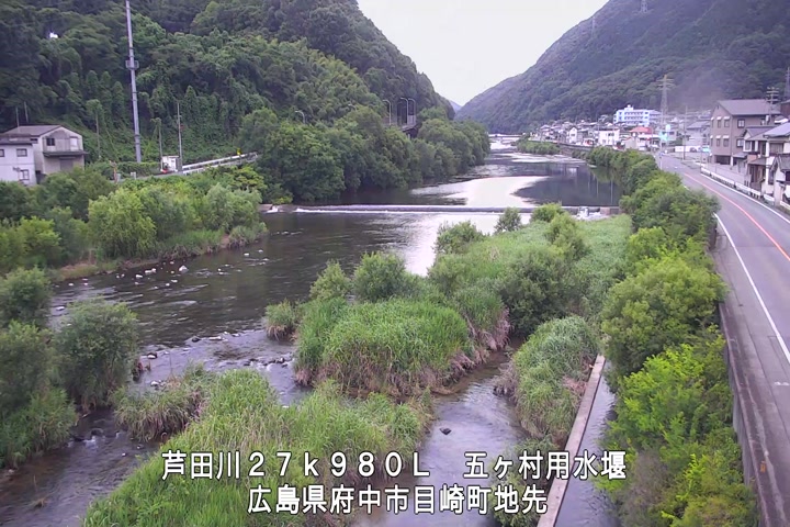 06月17日19時00分