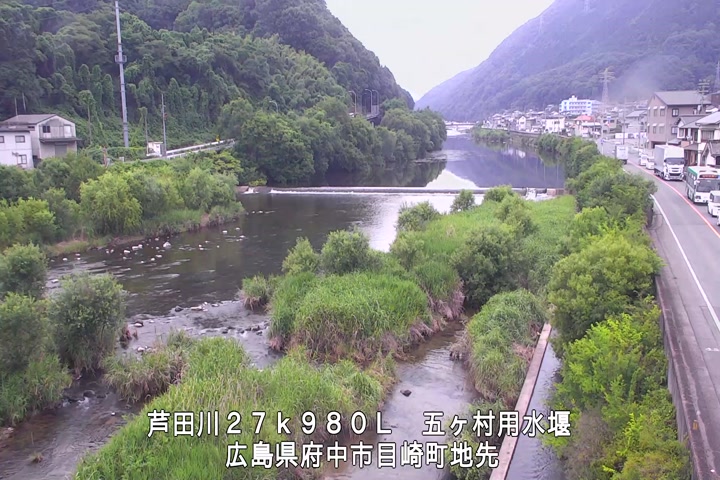 06月19日09時00分