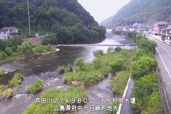 07月20日11時00分
