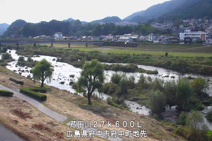 11月05日11時00分