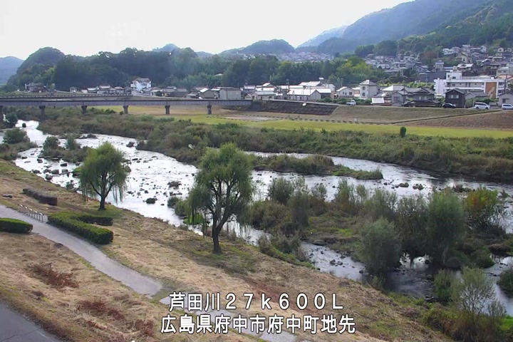 11月07日11時00分