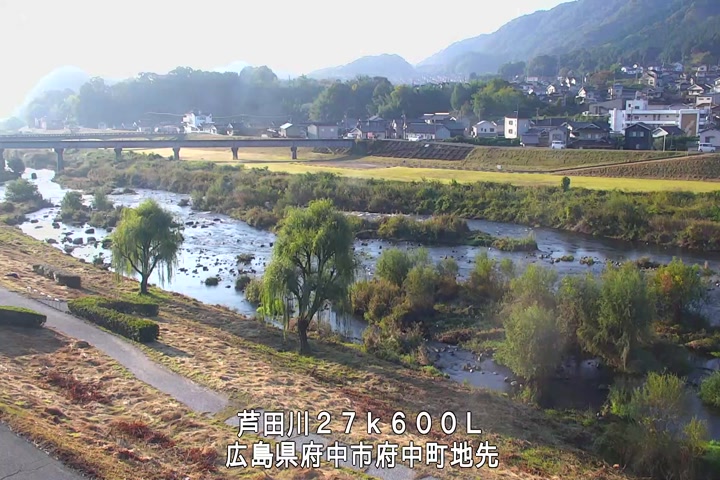 11月08日08時00分