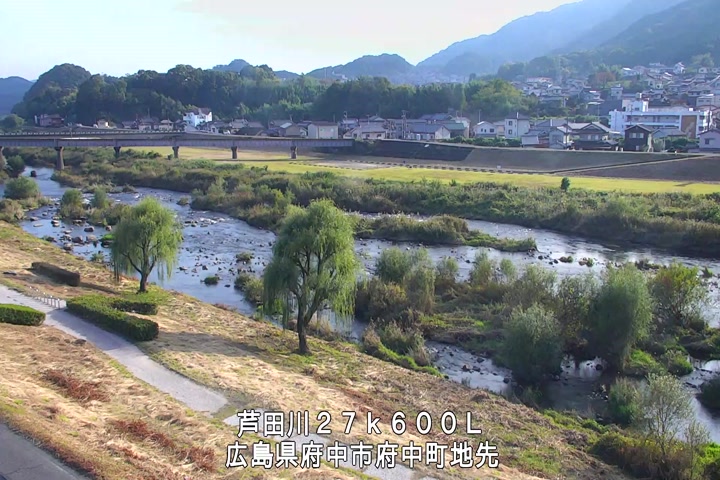 11月08日15時00分