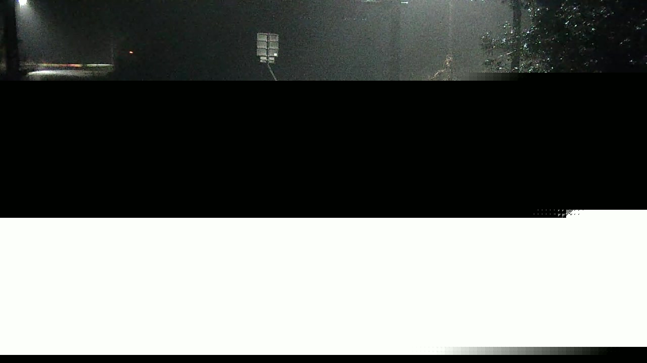 2026年02月11日06時