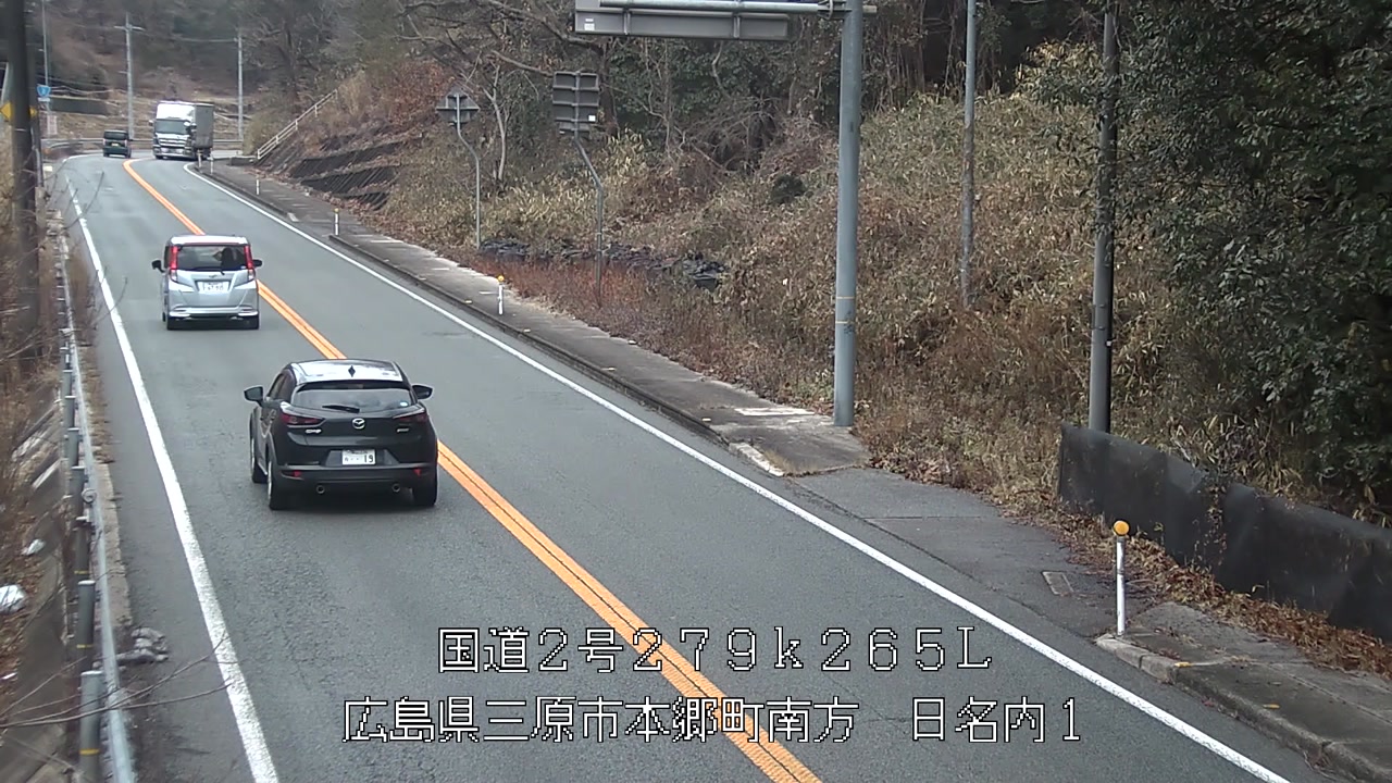 2026年02月11日12時