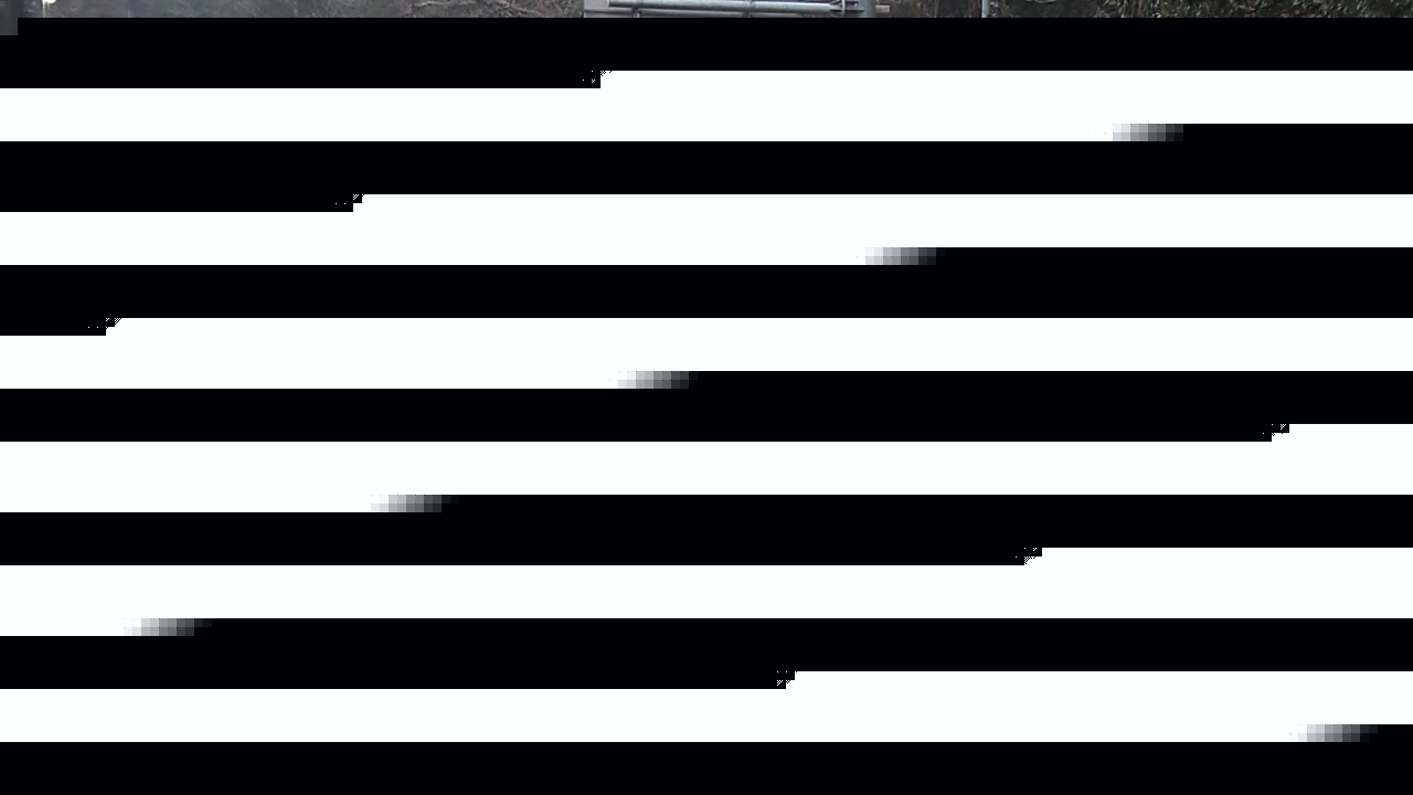 2026年02月11日18時