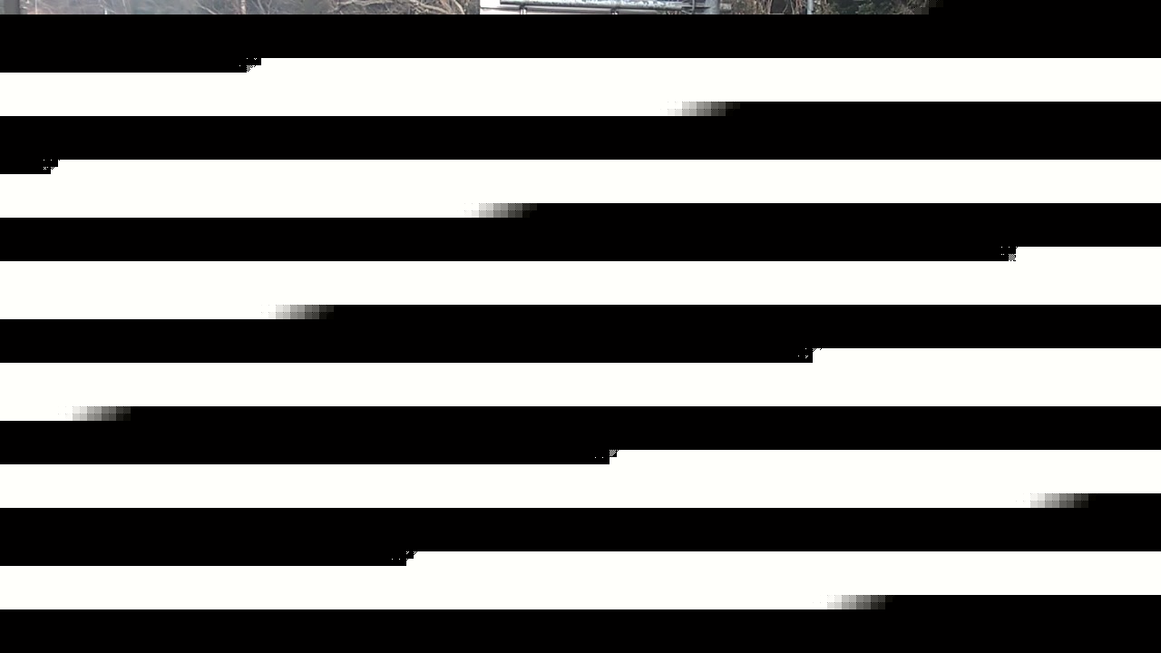 2026年02月12日09時