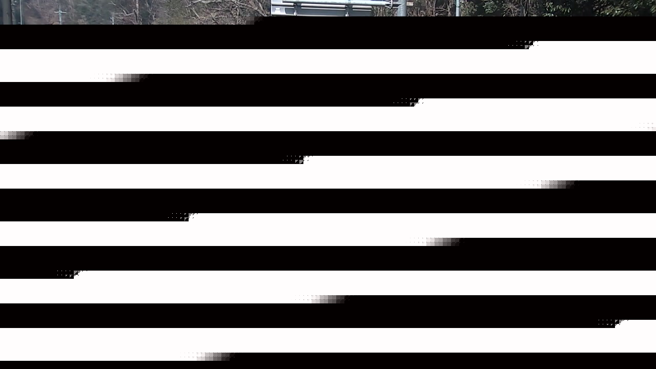 2026年02月12日11時