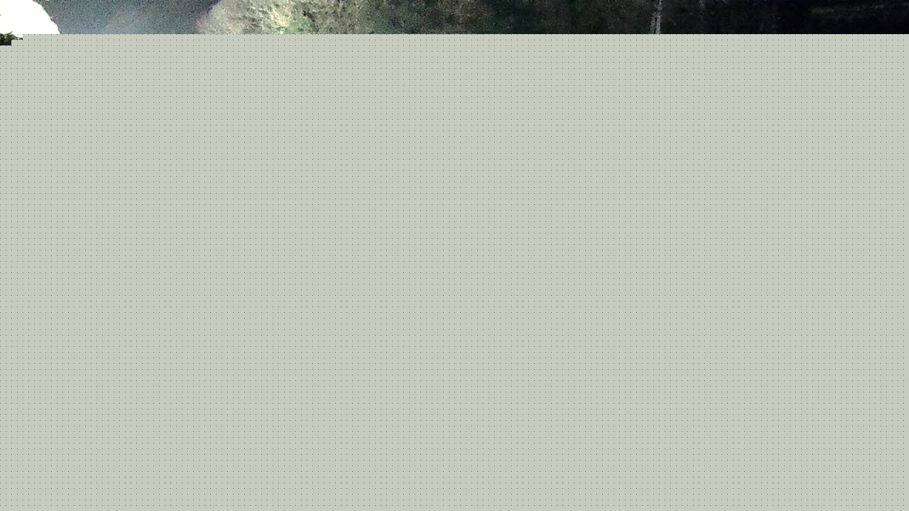 2026年02月19日06時