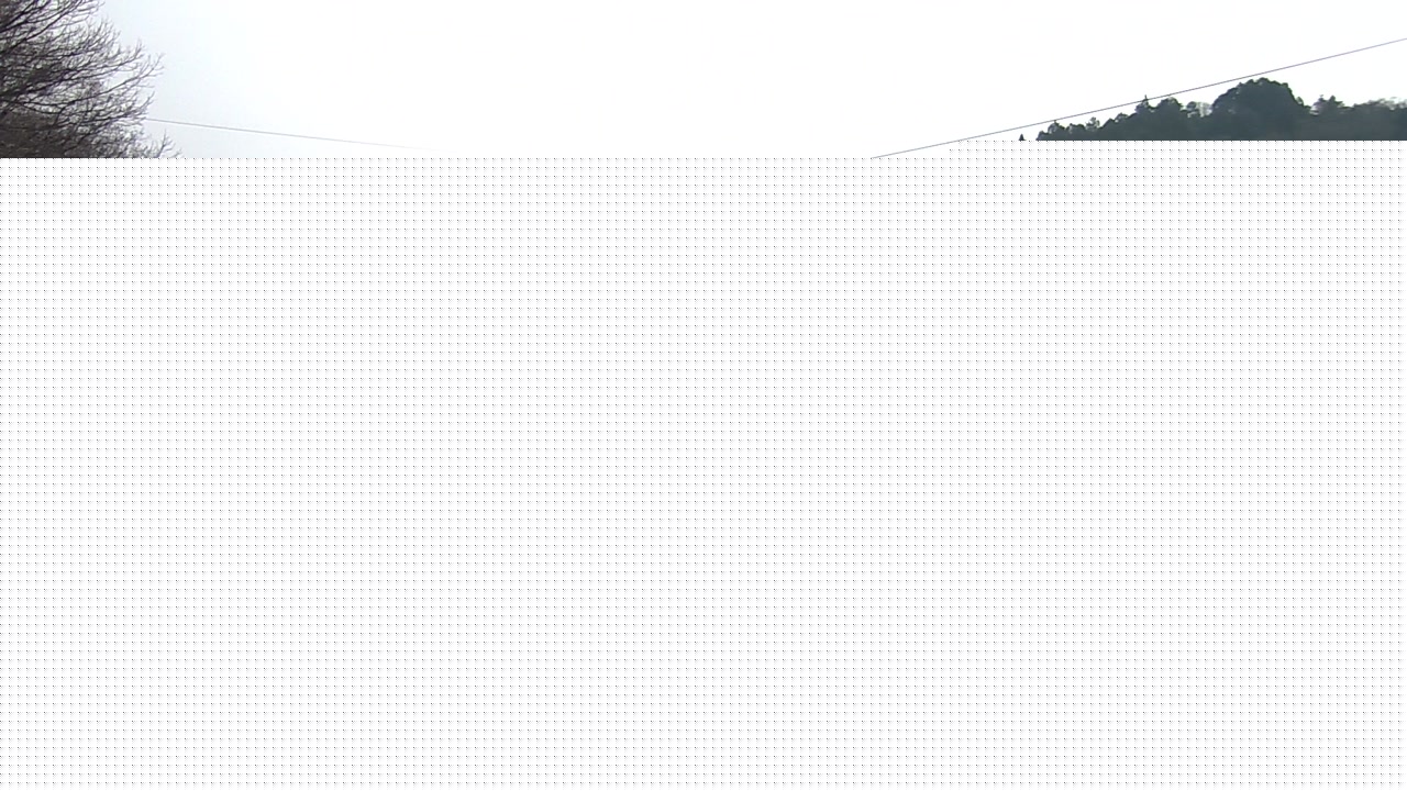 2026年03月20日10時