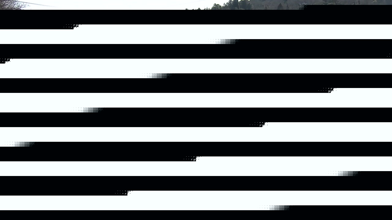 2026年04月03日10時