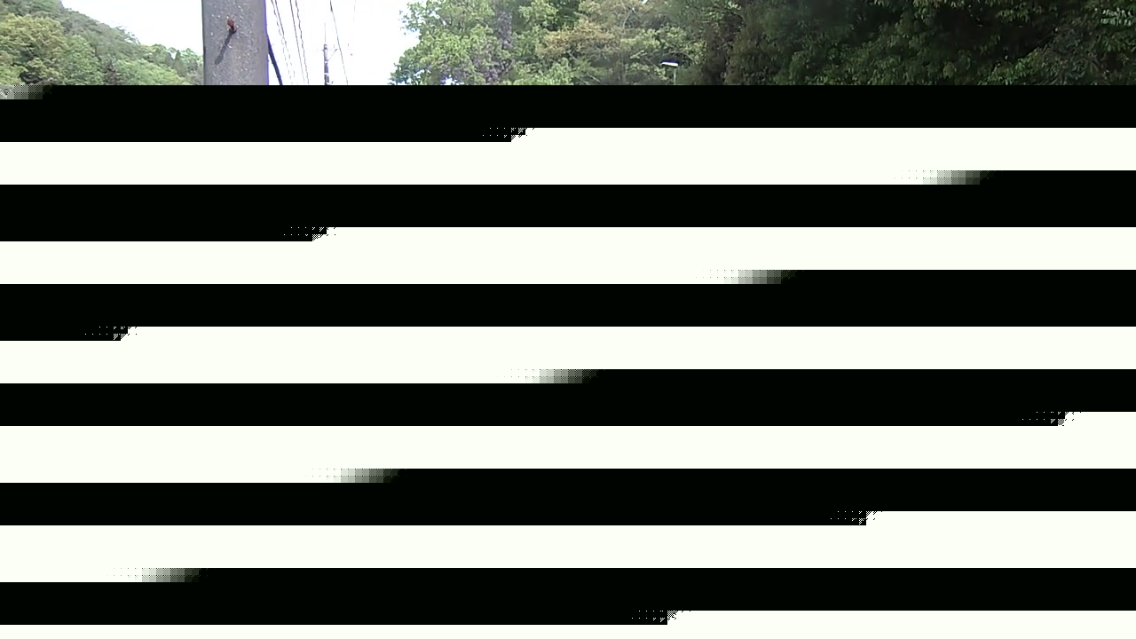 2026年04月25日09時