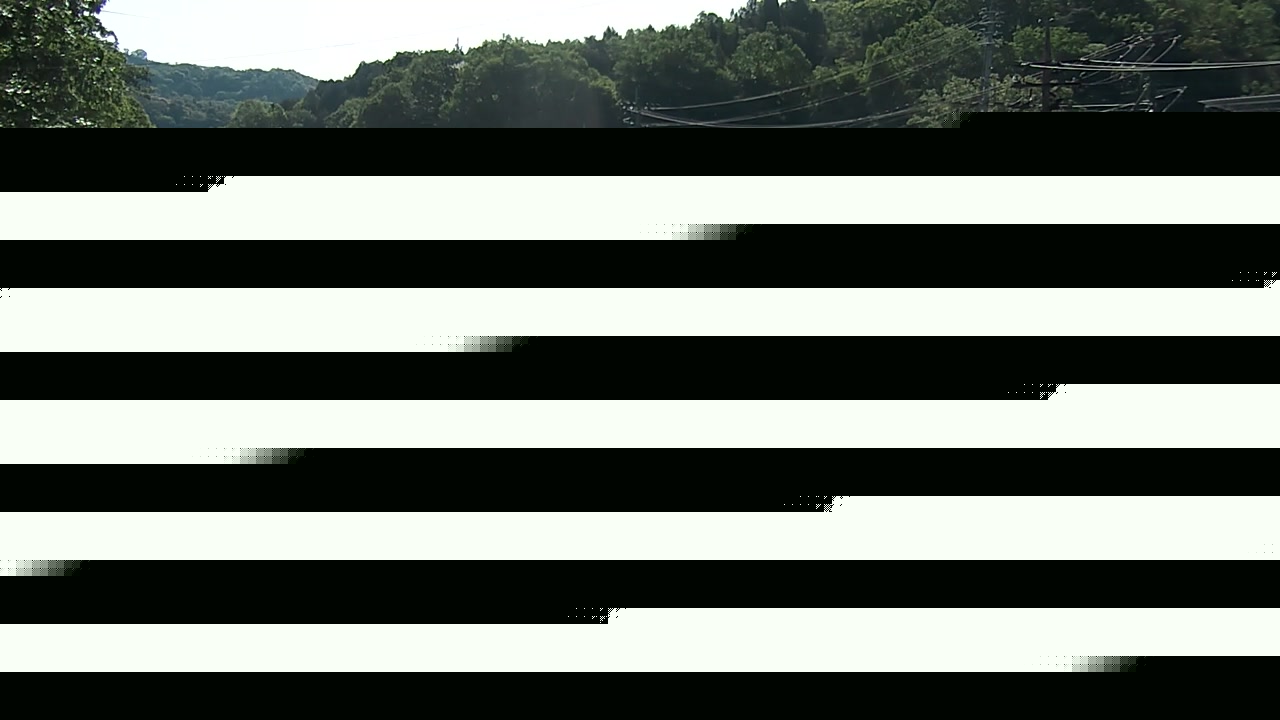 2026年05月11日08時