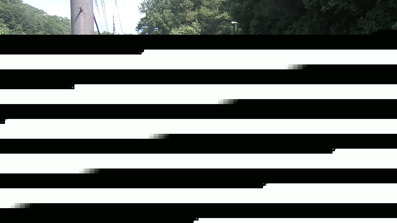 2026年06月13日09時