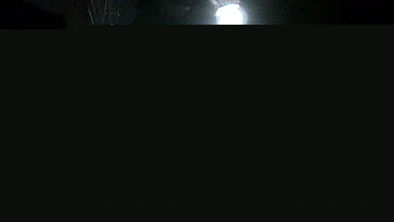 2026年10月11日02時