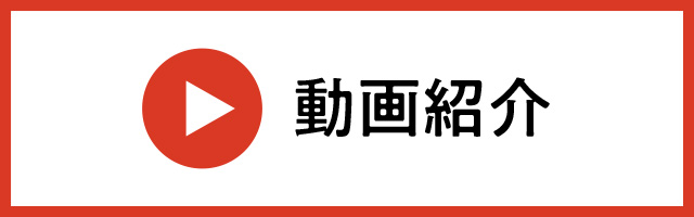 動画紹介
