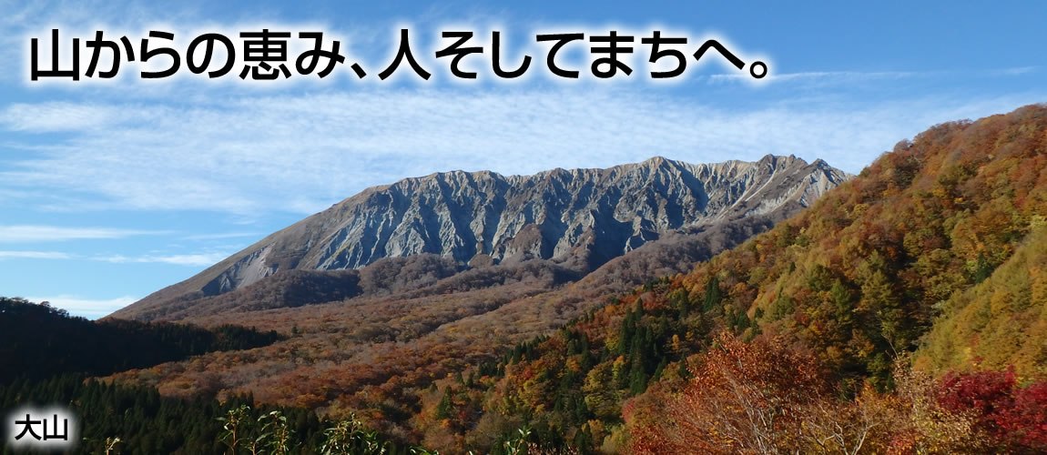 河川 事務 所 日 野川