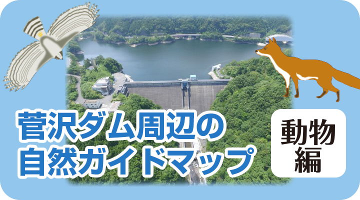 菅沢ダム周辺の自然ガイドマップ〜動物編