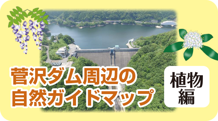 菅沢ダム周辺の自然ガイドマップ〜植物編