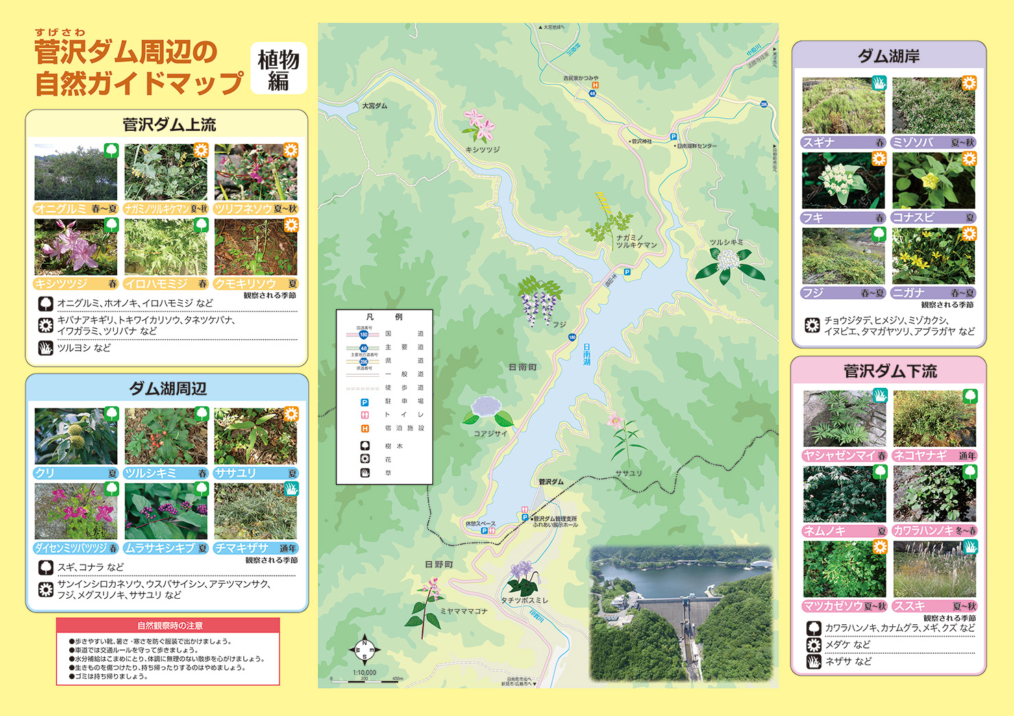 菅沢ダム周辺の自然ガイドマップ〜植物編