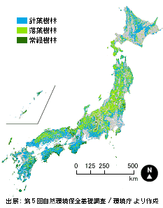 現在の森林分布