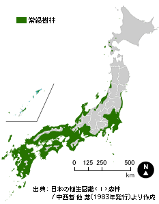 気候に応じた常緑樹林分布